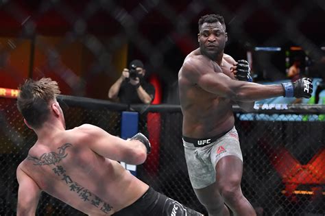 the results of ufc last fight.
